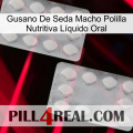 Gusano De Seda Macho Polilla Nutritiva Líquido Oral 17